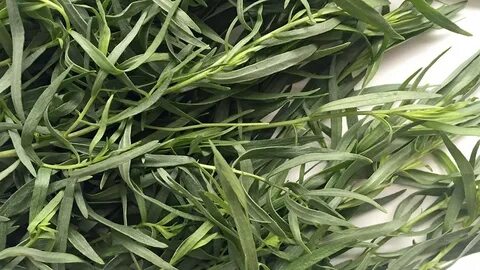 تصویر 2 از خرید سبزی ترخون خشک + بهترین قیمت